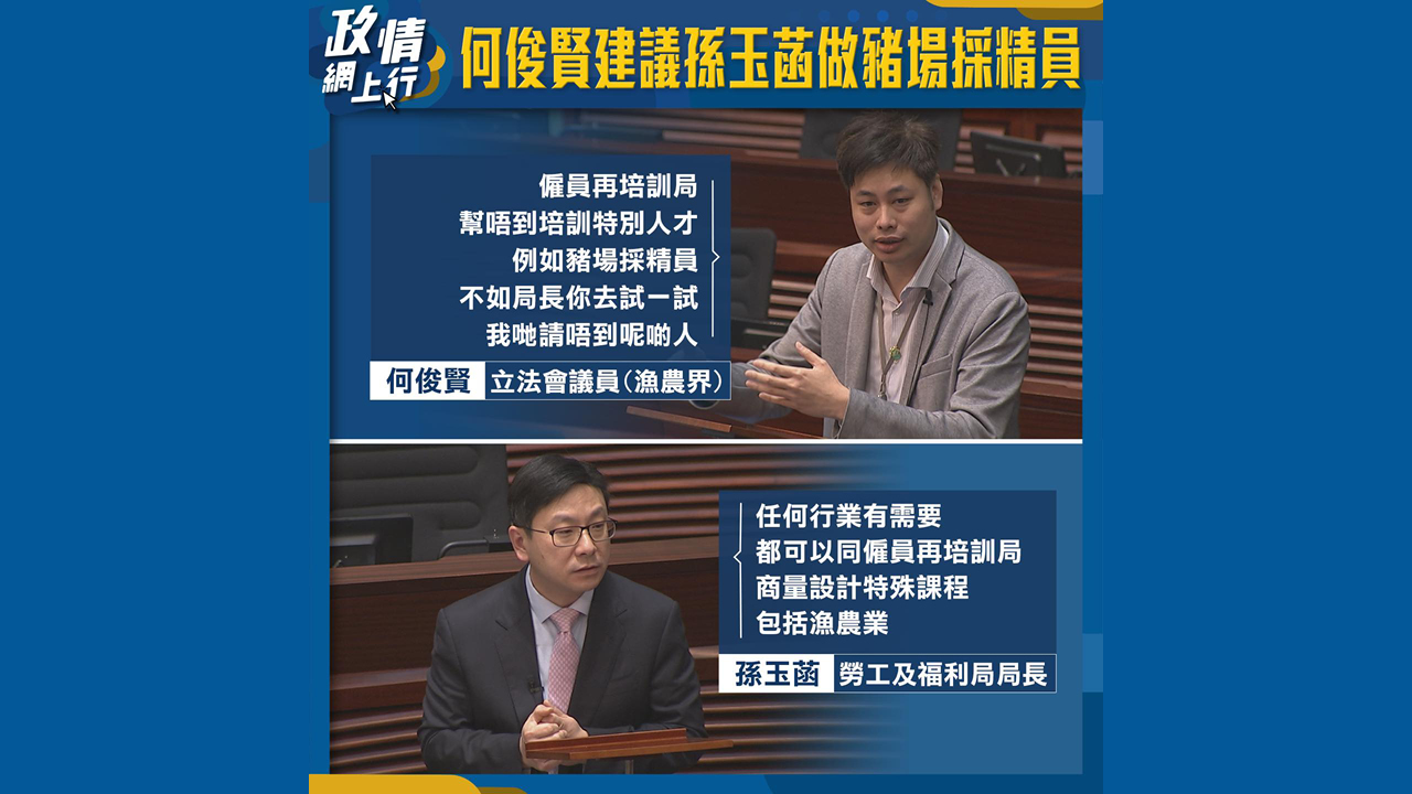 【政情網上行】何俊賢建議孫玉菡做豬場採精員