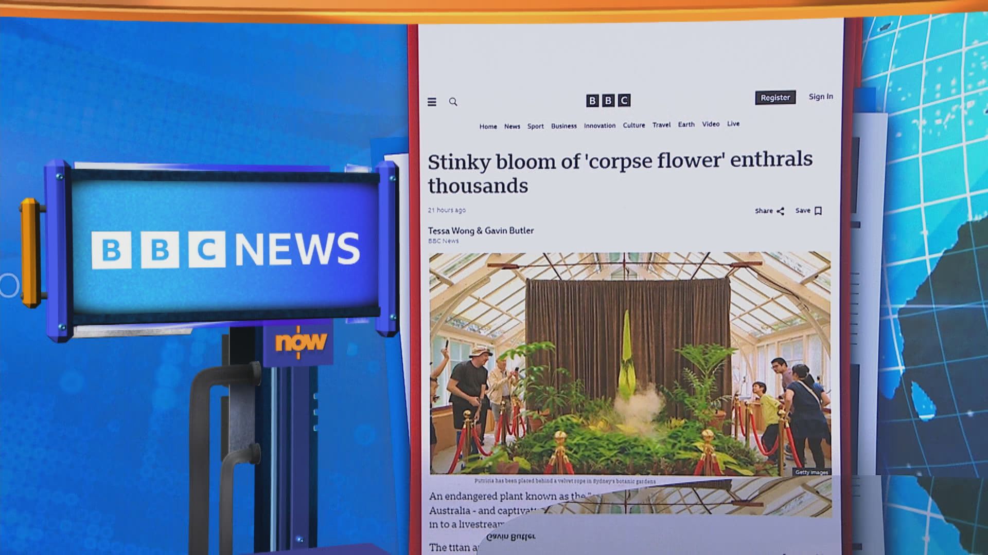 【世味天下】澳洲「屍花」相隔15年再開花　逾兩萬人入場參觀