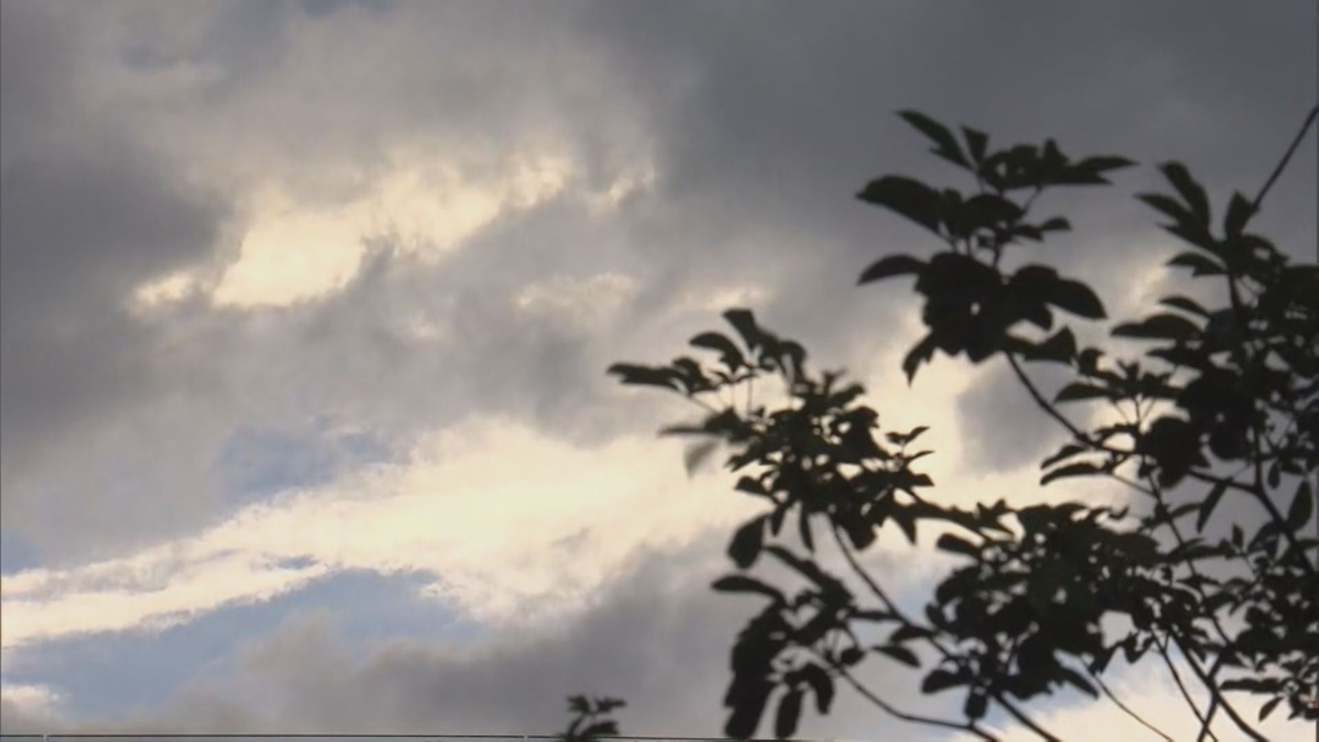 樺加沙襲港｜三號強風信號生效　料稍後天氣急速轉壞