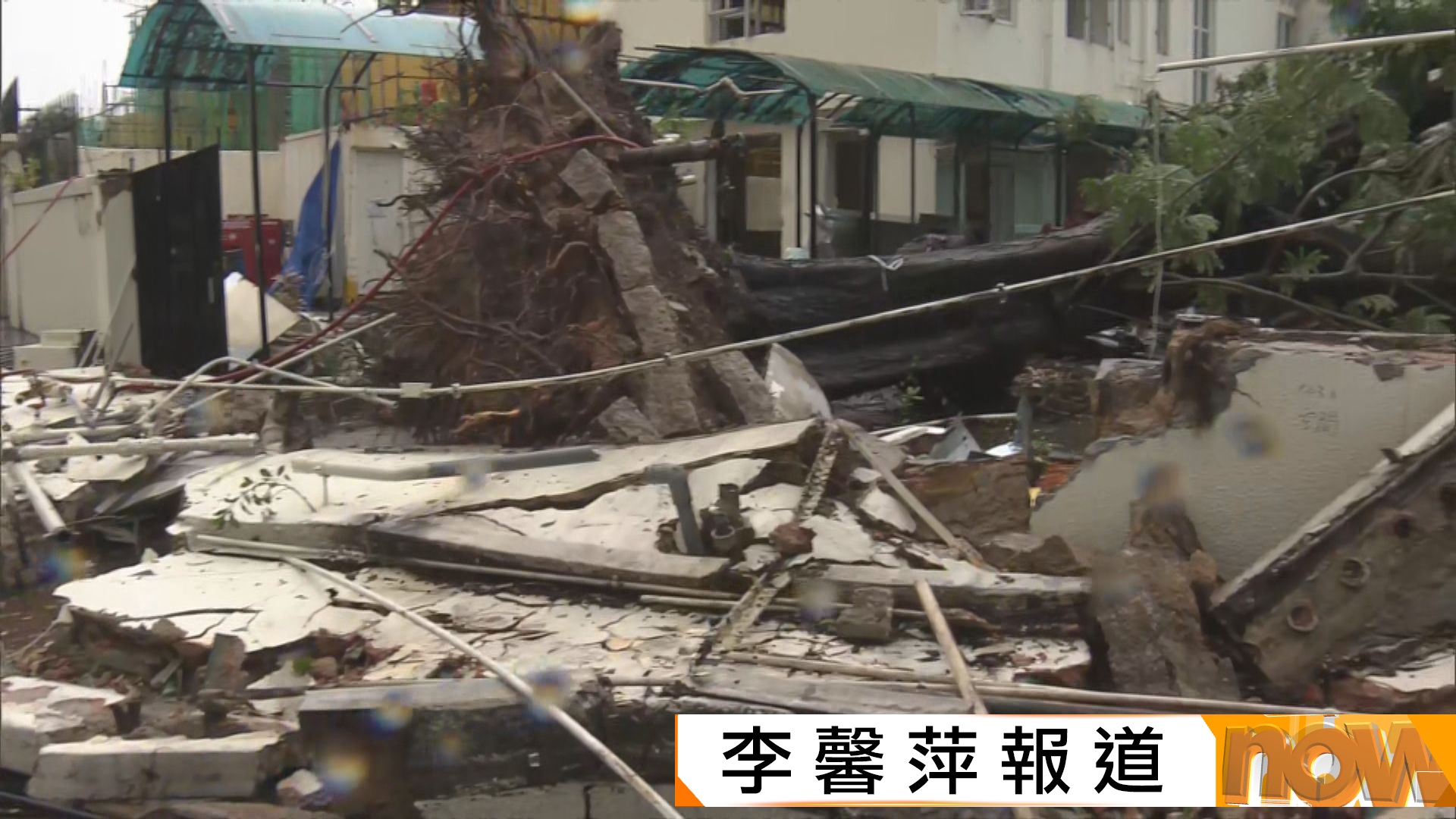 樺加沙威力｜截至下午5時全港近900宗塌樹16宗水浸　90人受傷送院