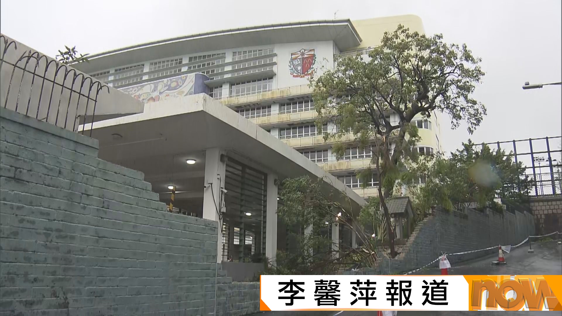 樺加沙威力｜政府收到逾1200宗塌樹報告　101人受傷送院 