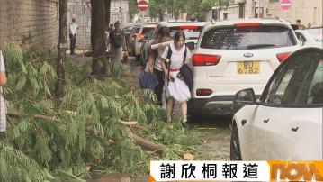 樺加沙襲港｜華仁書院等多間學校損壞停課善後　學生越過「小山丘」上學