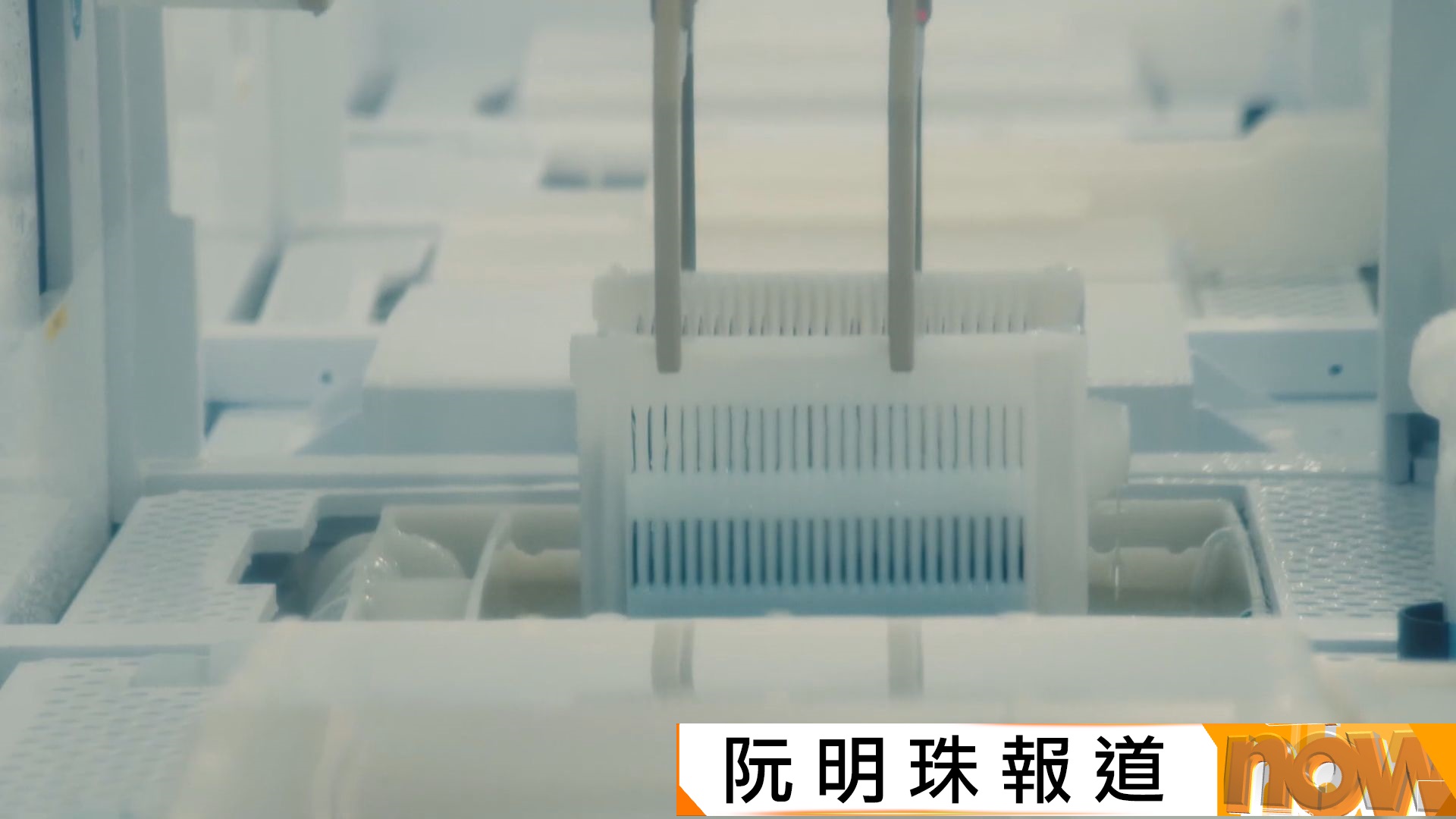 荷蘭憂關鍵技術轉移至中國　凍結安世半導體資產