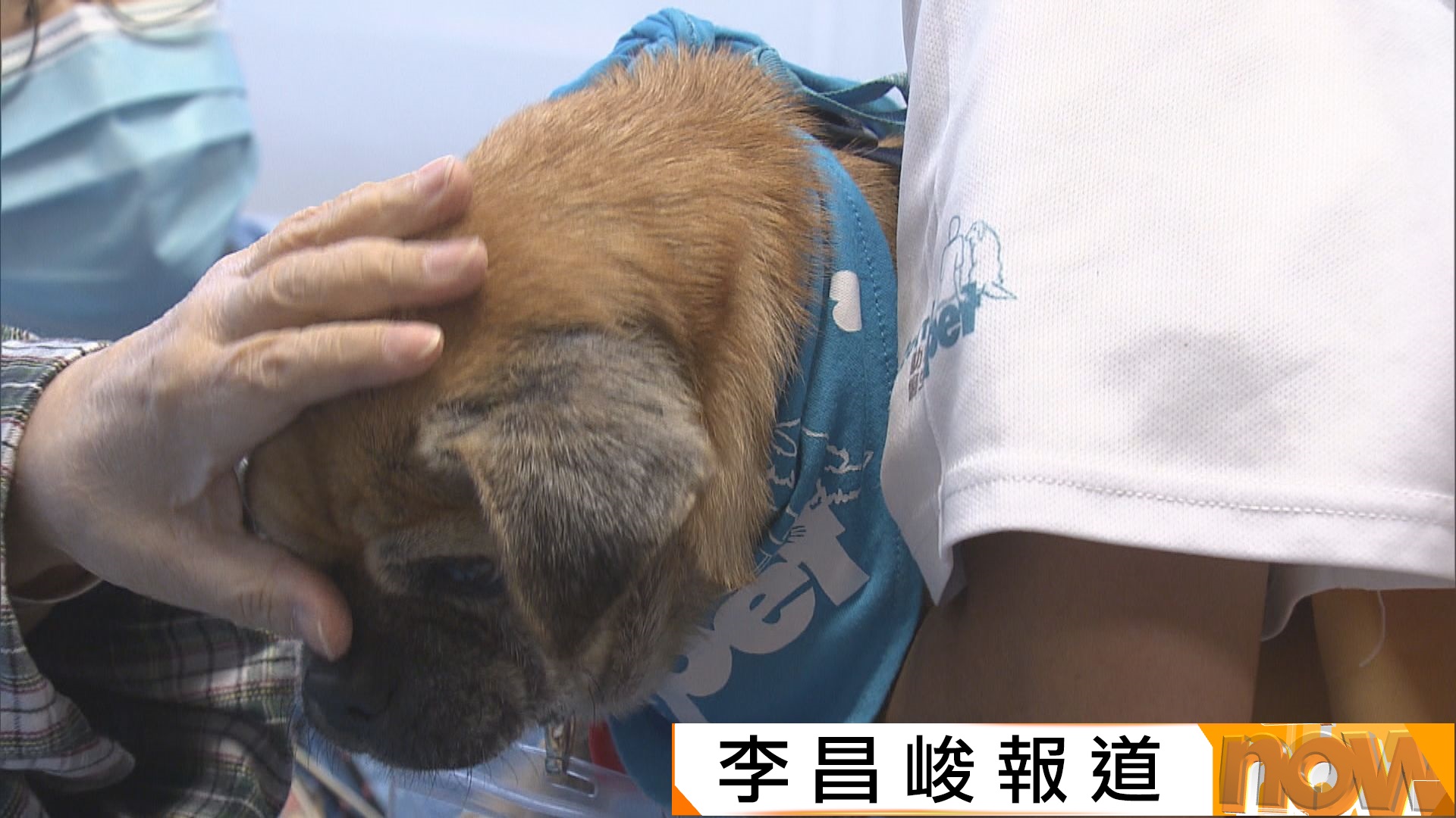 晚期住院病人可申請寵物探訪　醫管局：冀短聚慰藉病人