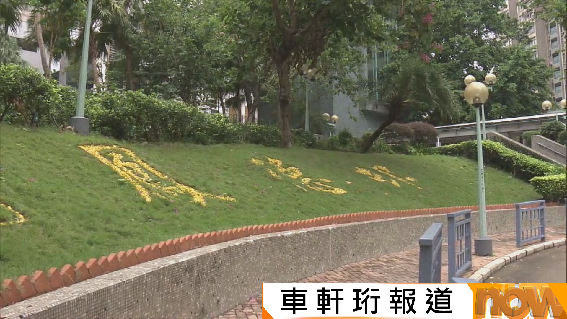 基孔肯雅熱｜鳳德邨學校女員工確診　校方暫停戶外活動　李家超：全力滅蚊確保不會本地紮根