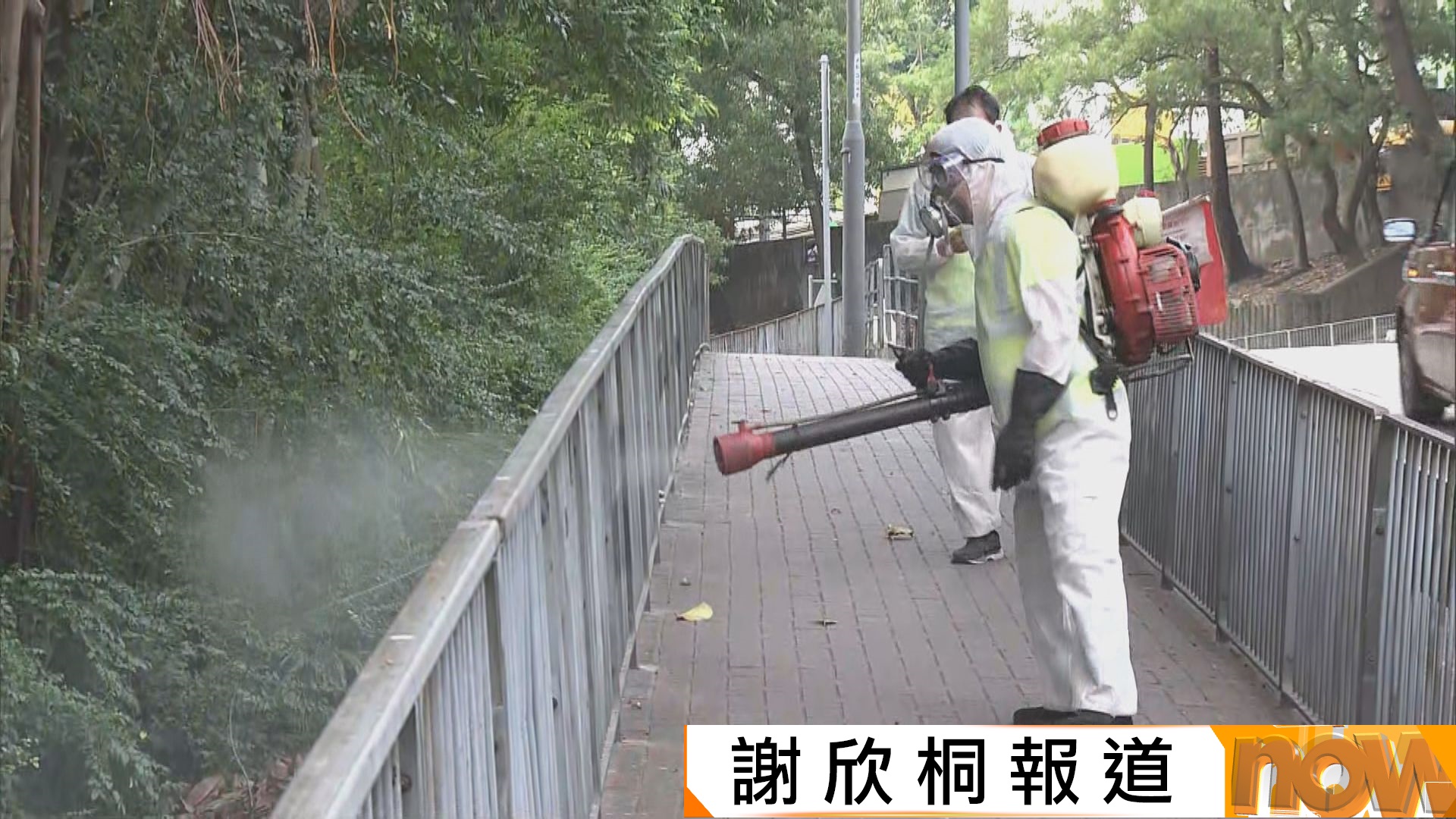 基孔肯雅熱｜鳳德邨學校女員工確診　校方暫停戶外活動　李家超：全力滅蚊防本地紮根