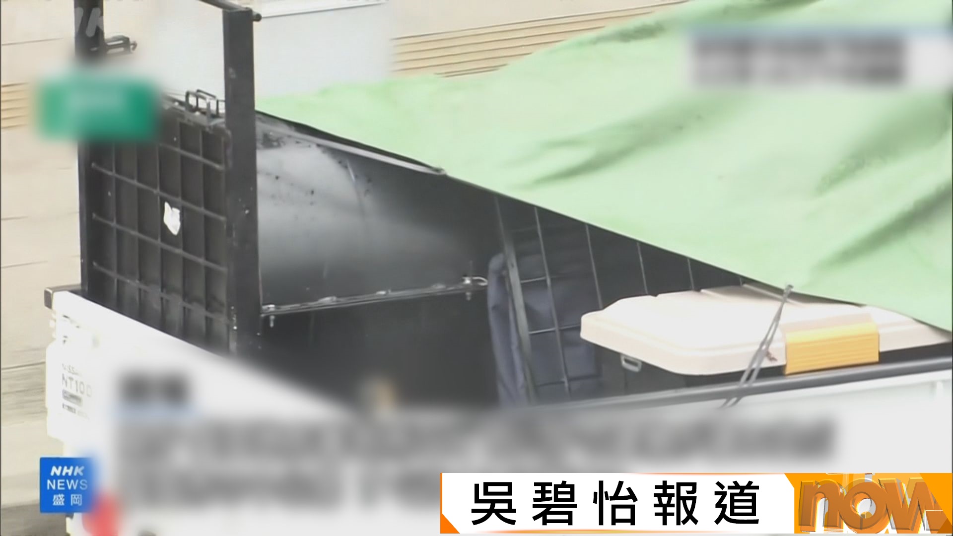 日本秋田縣要求自衛隊協助應對熊害　防相稱將充分利用權力協助