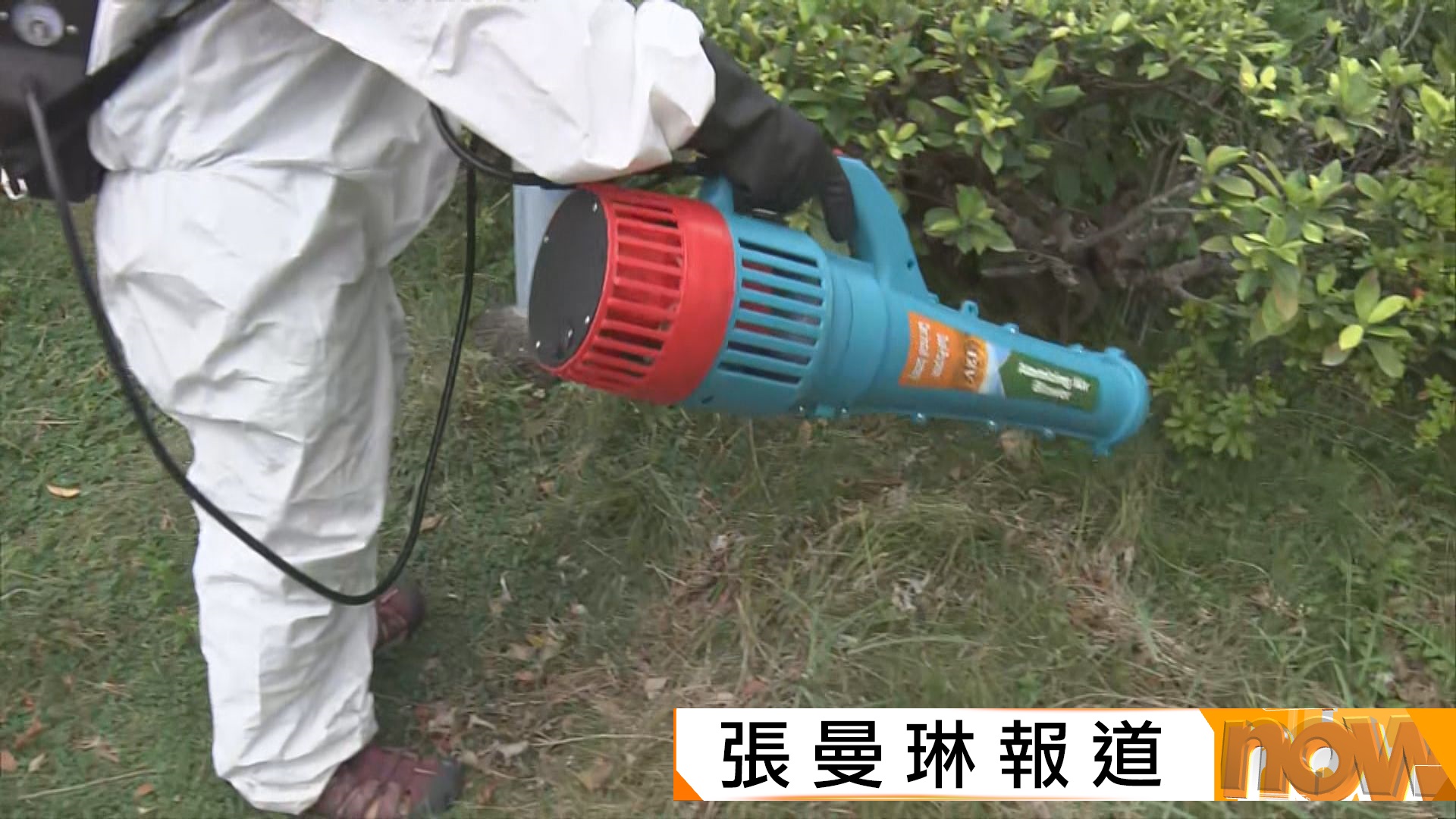 基孔肯雅熱｜當局在青衣患者住處附近滅蚊　專家料續有本地個案較難追蹤源頭