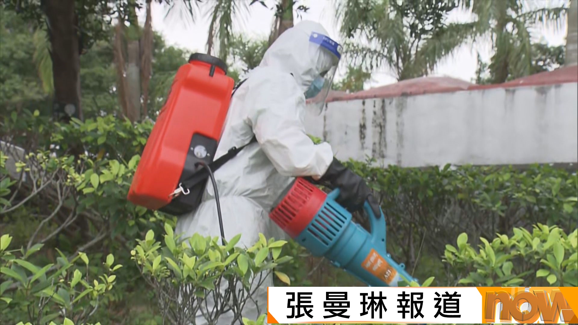 基孔肯雅熱｜當局在青衣患者住處附近滅蚊　盧寵茂指現時傳播風險較低