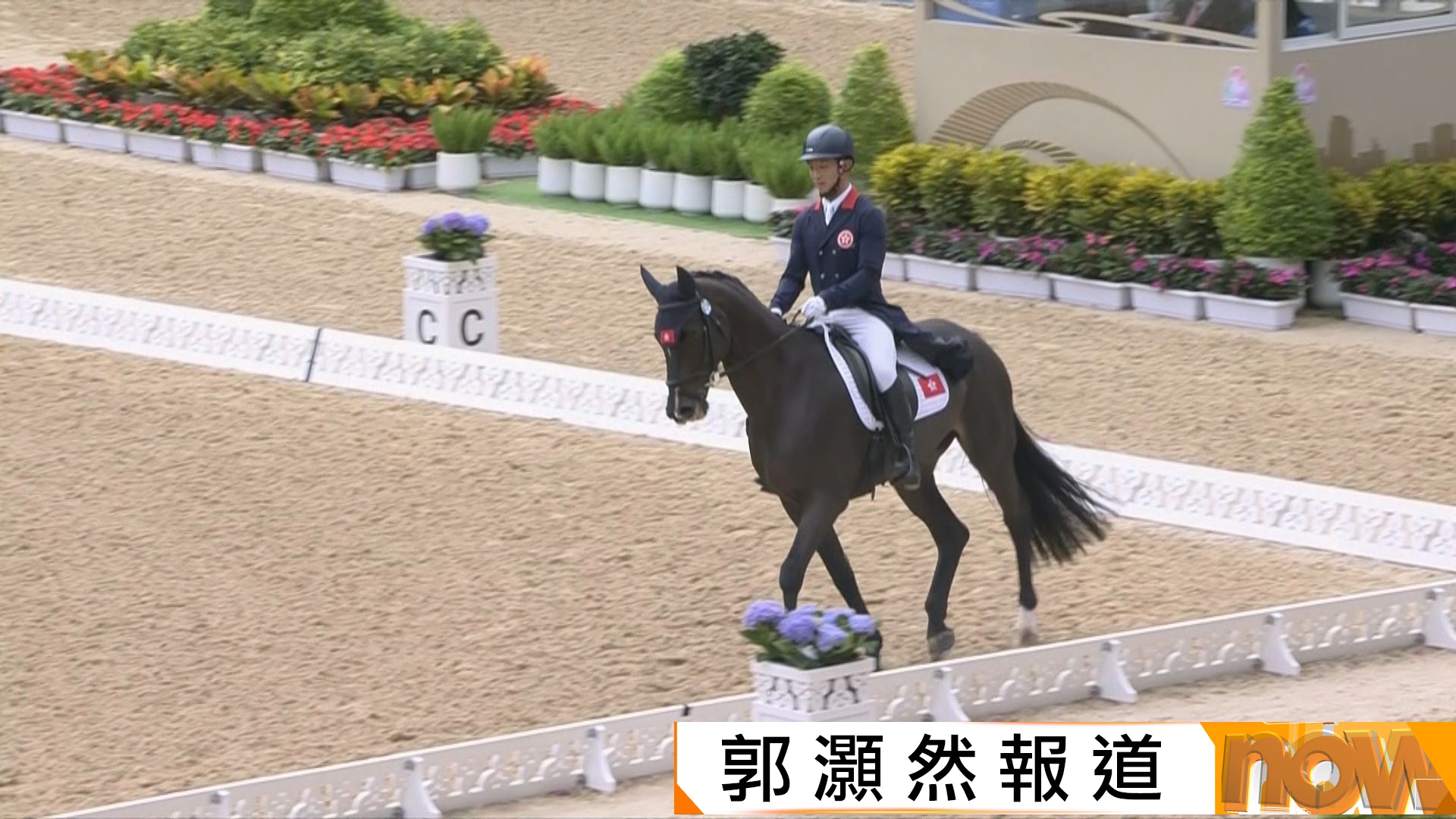 全運會馬術三項賽盛裝舞步　港隊團體賽暫時包尾