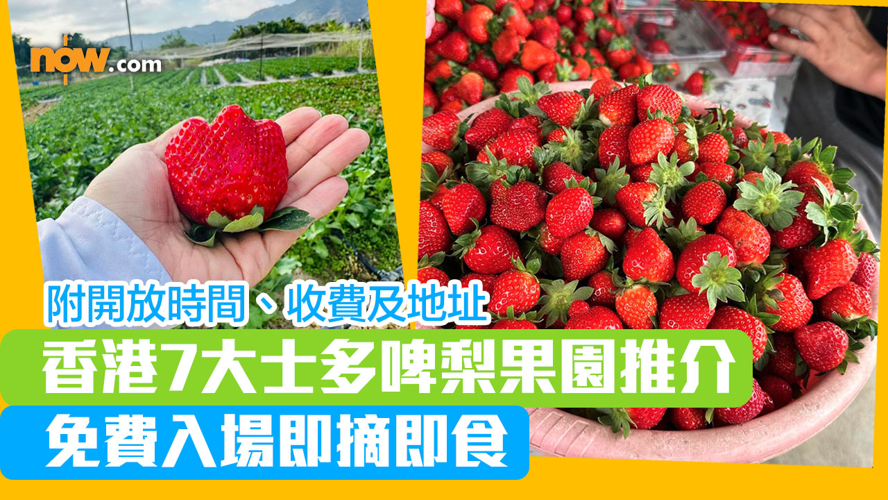香港7大士多啤梨園推介:免費採摘即食(opening時間及地址)