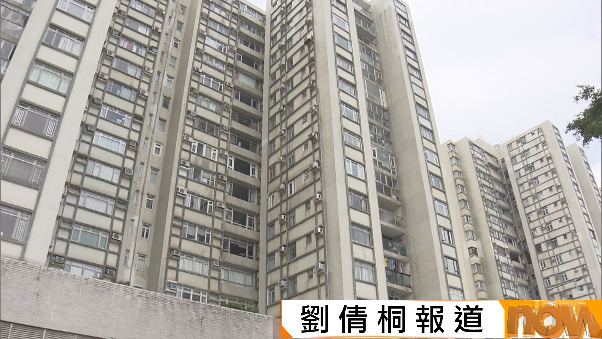 議員提議鯉景灣業主重新招標 測量師稱若不理會老化更快 | Now 新聞