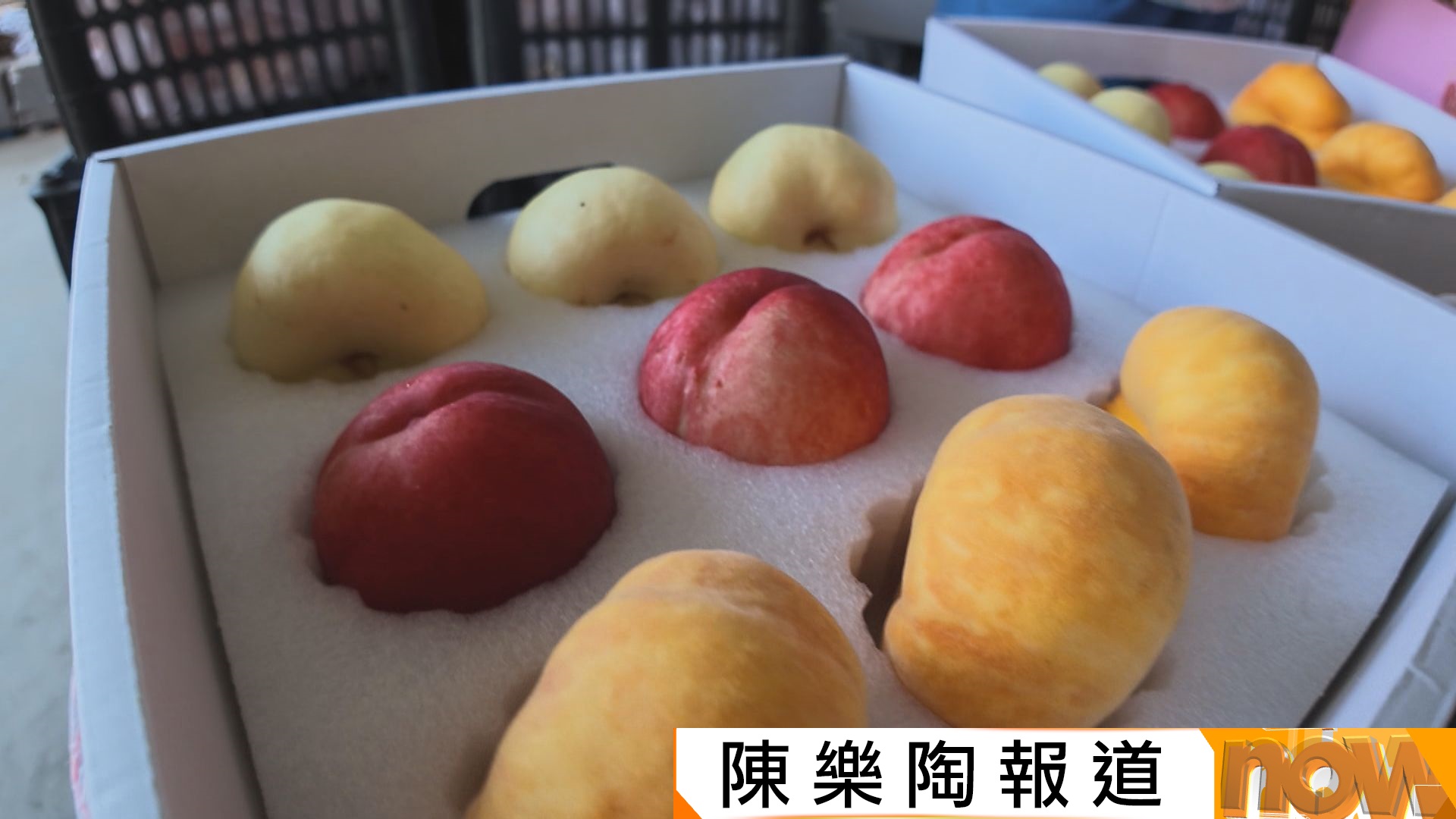 Photo: news.now.com Beijing's "Peach Capital" Pinggu Eyes Hong Kong Market Expansion