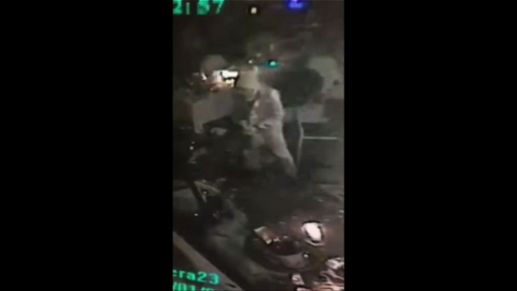 伊斯蘭國承認策動土耳其元旦日恐襲