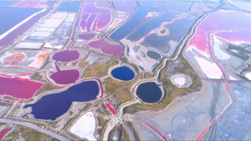 山西運城鹽湖高溫下呈多彩顏色