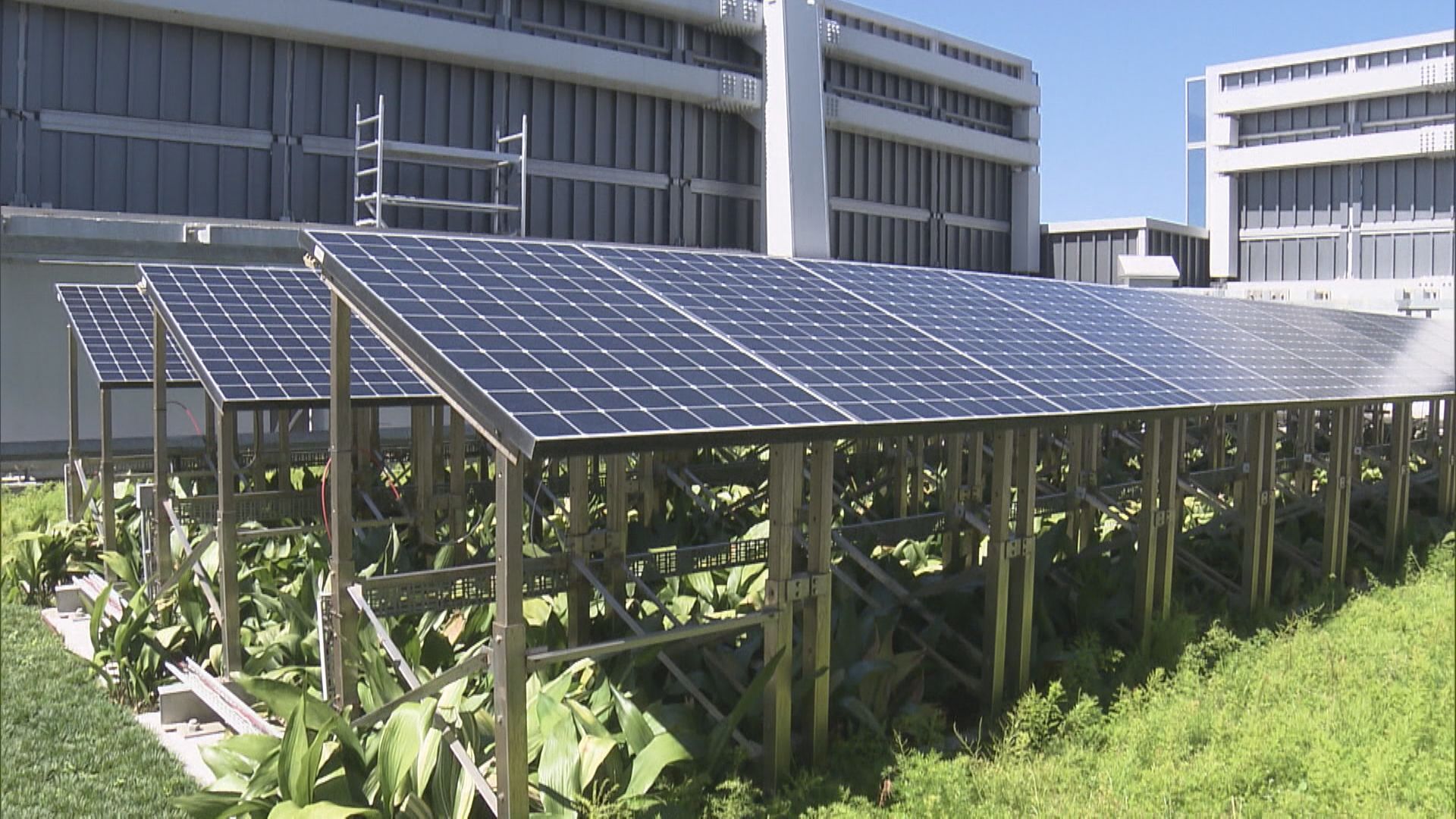太地參與「聯署」幫手應對全球暖化