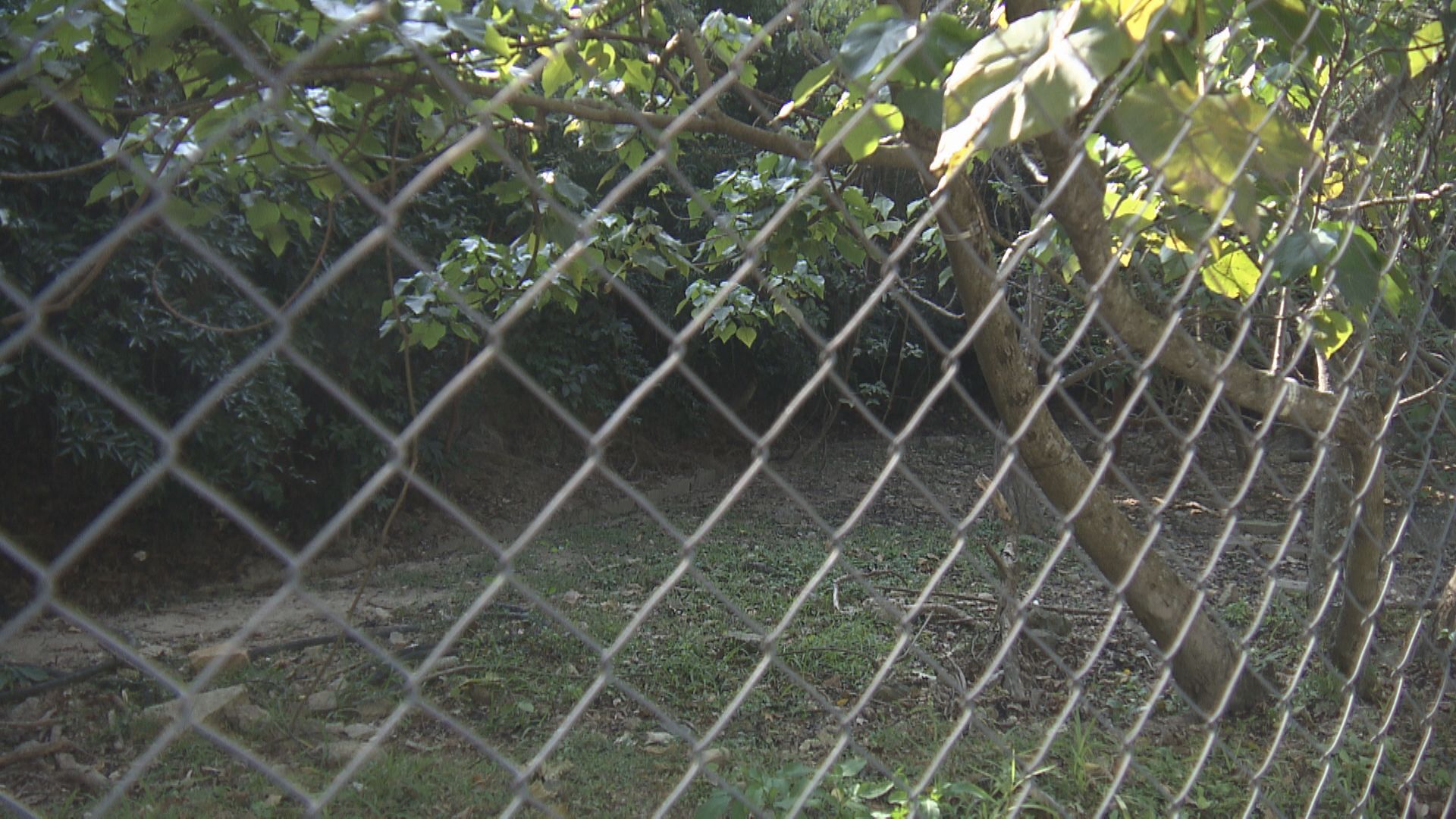 【流標之後】陳茂波：政府不會賤賣土地