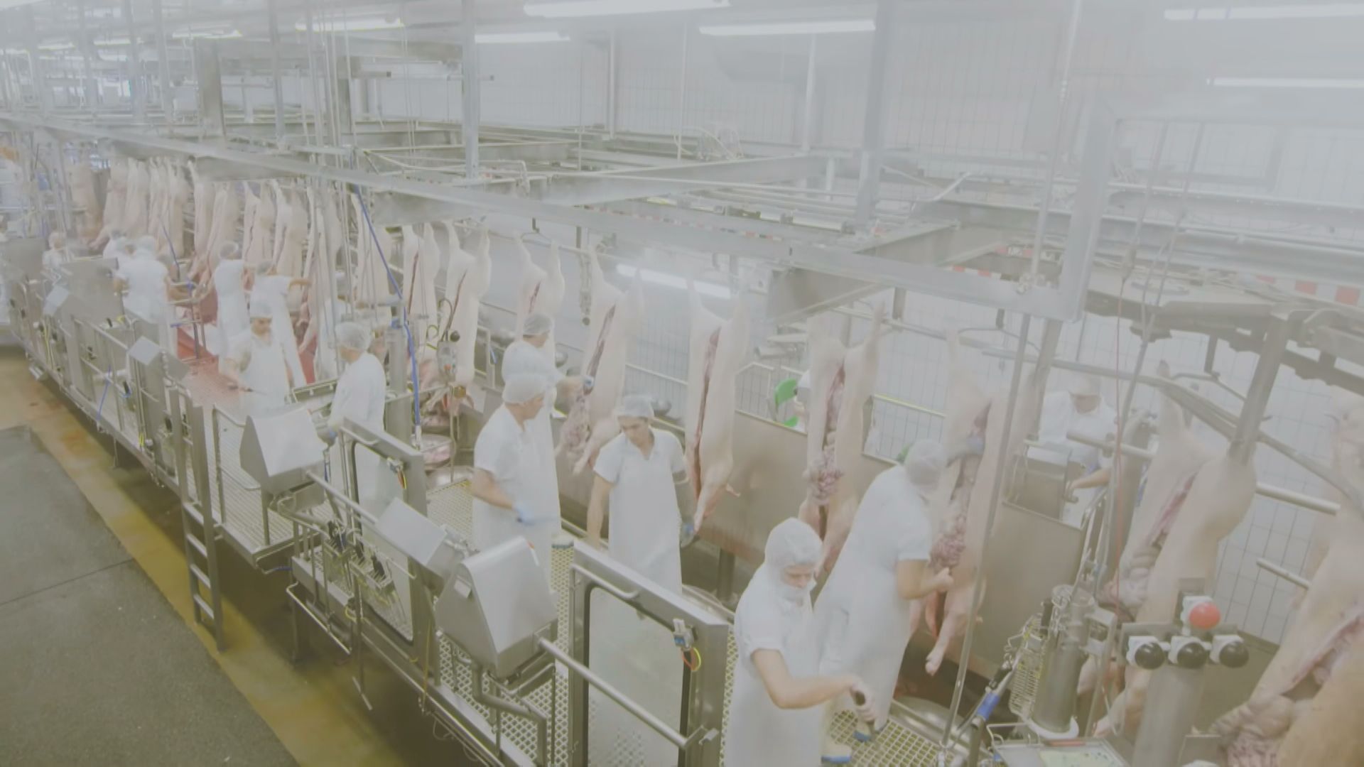 傳萬洲成德「香腸大王」加工廠潛在買家