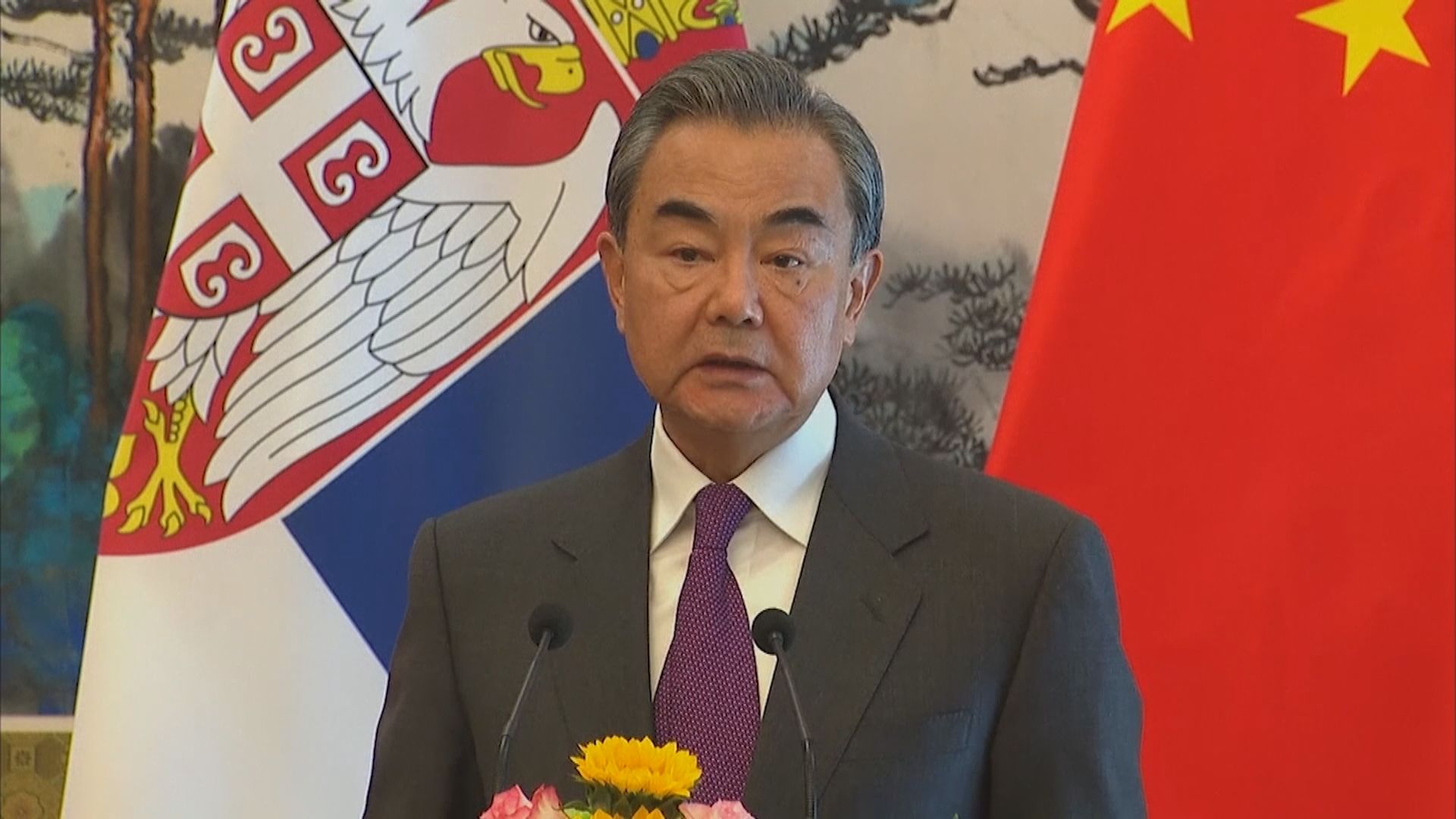 王毅：把外來模式硬套到文化及國情不同的國家會水土不服