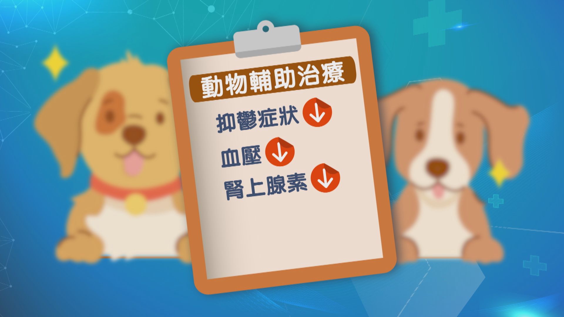 【杏林在線】動物也能當醫生