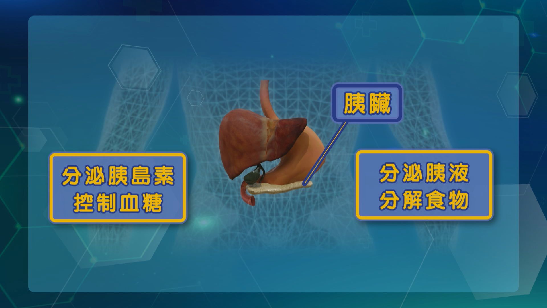 杏林在線｜胰臟癌與糖尿病