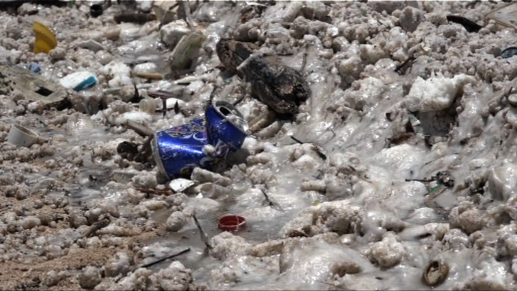 本港水域遭棕櫚硬脂污染　多個泳灘暫時關閉
