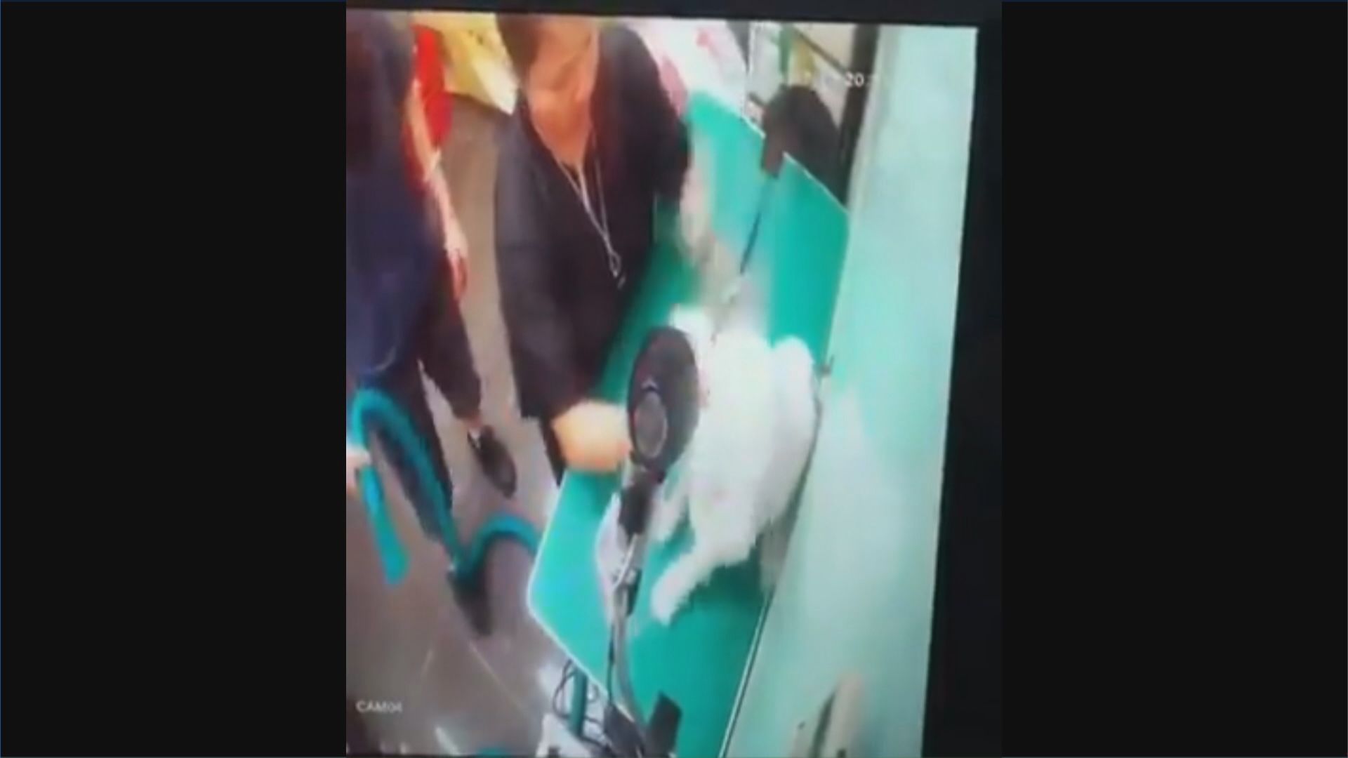 大埔寵物美容店女店主虐狗　判囚八個月