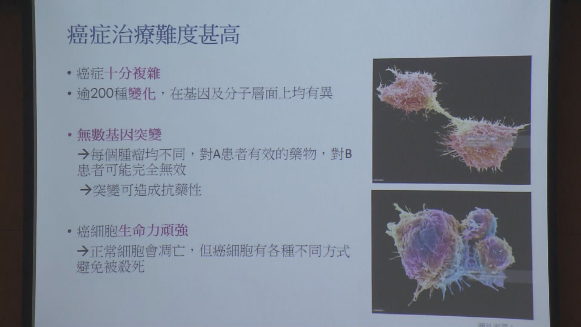 防癌會：免疫治療誤解多　癌症患者錯過治療黃金期