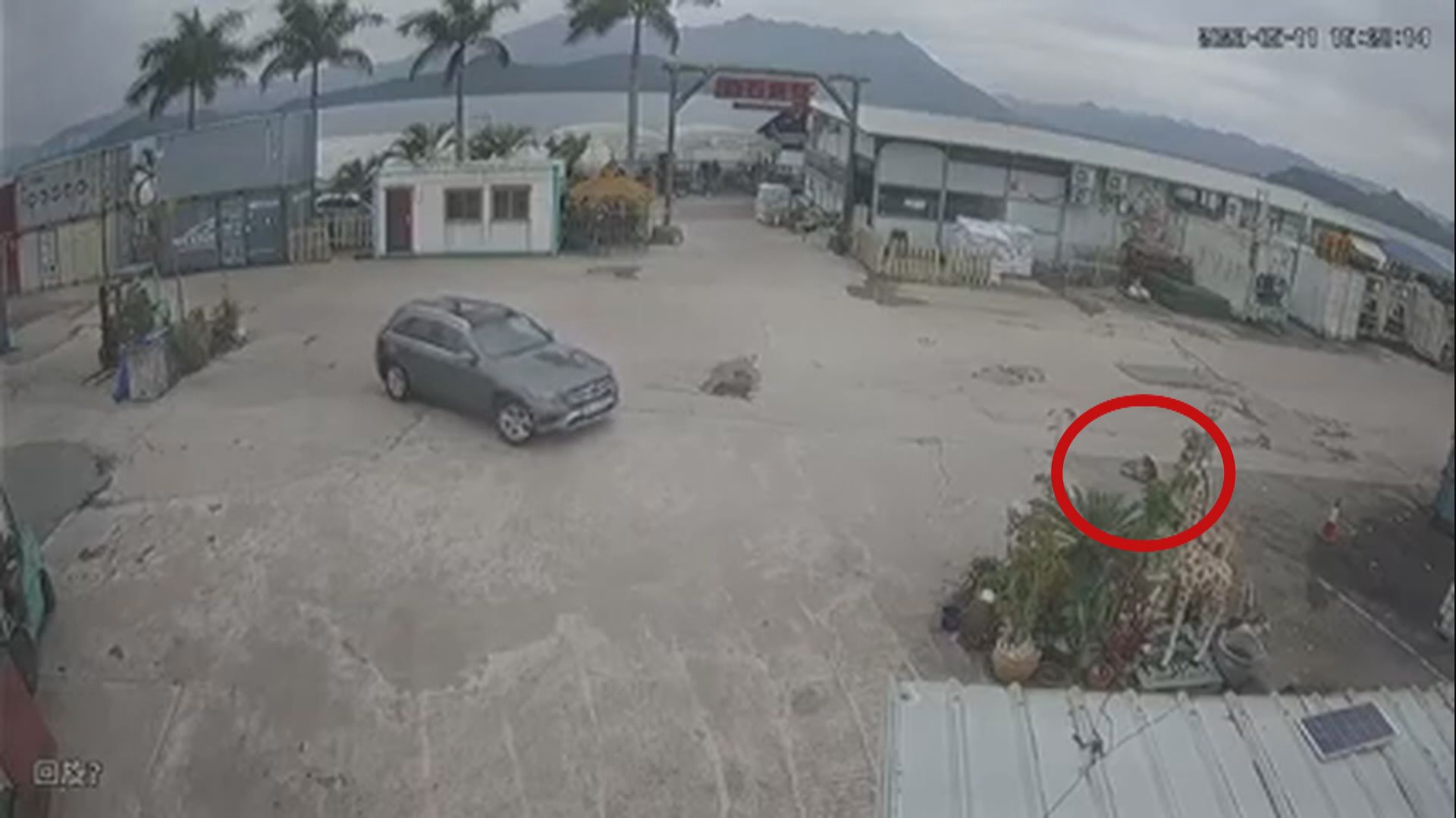 馬鞍山懷疑有私家車輾過一隻狗後離去 警方立案調查