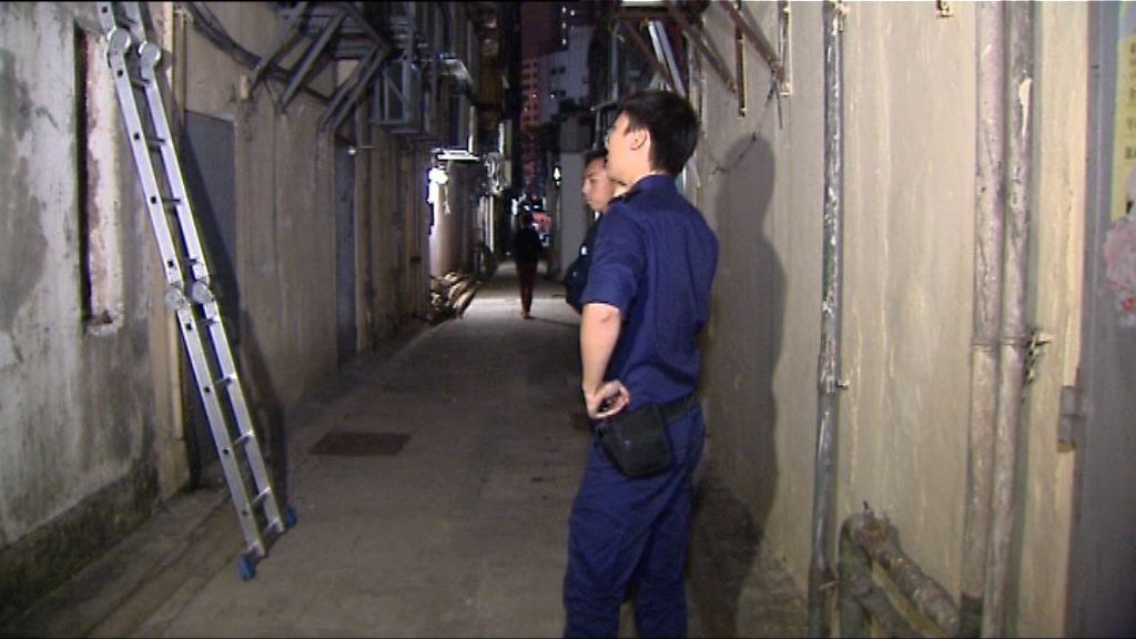 旺角兩貓倒斃後巷疑遭毒害