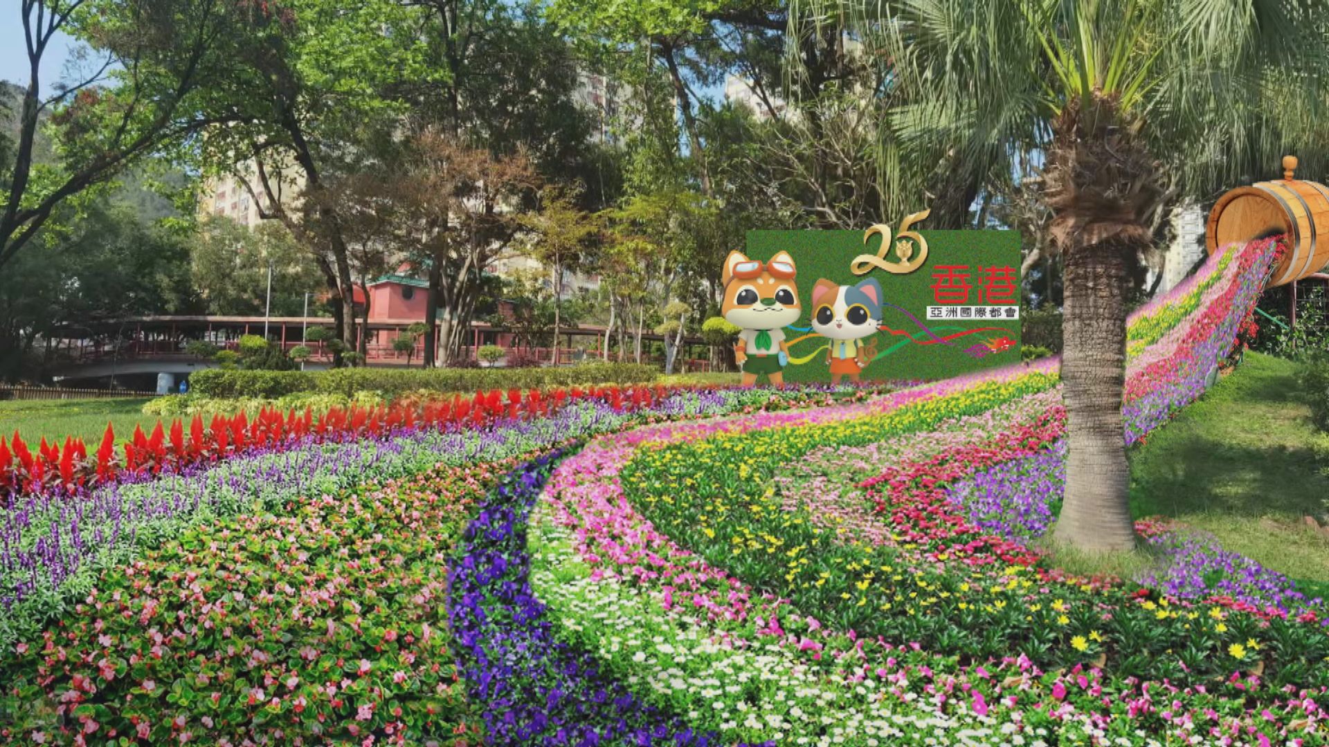 林鄭月娥：熱切希望國家領導人七一訪港　但暫沒資料公布