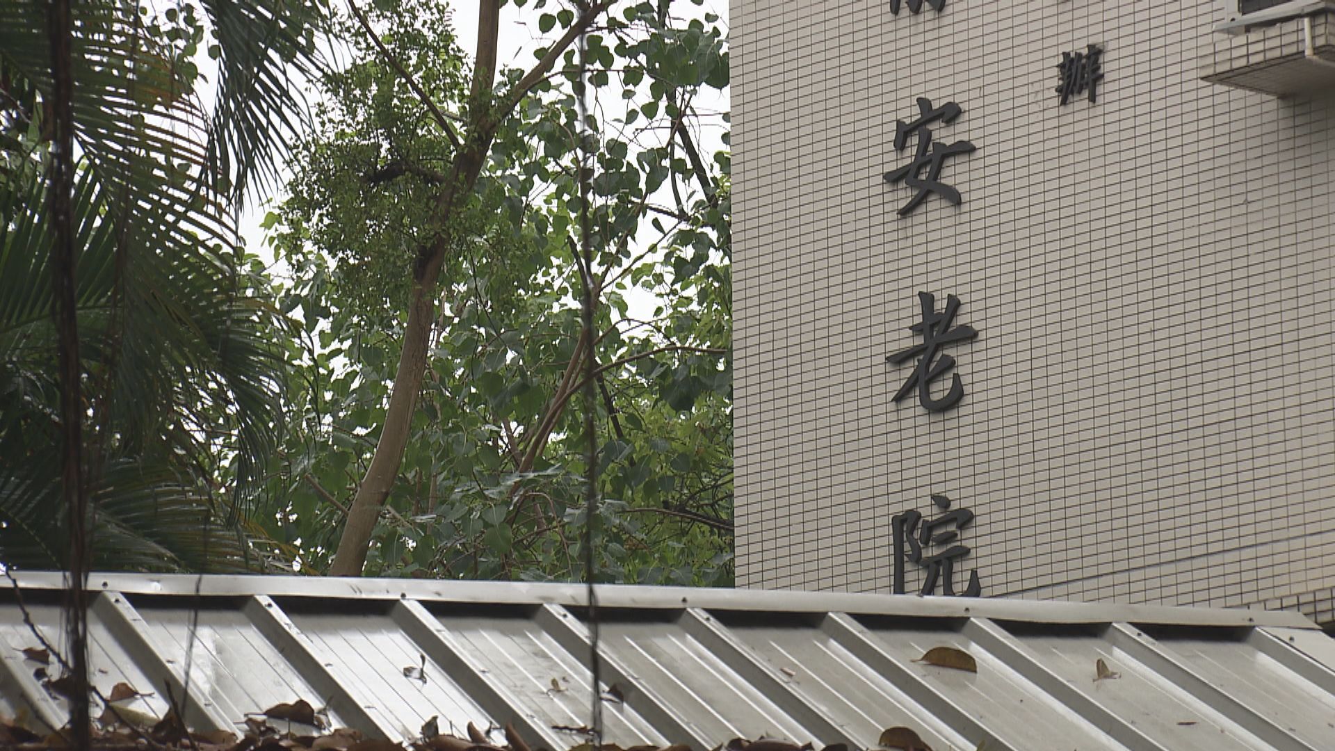 政府將增設長者隔離及暫託設施　包括啟德郵輪碼頭及七間體育館