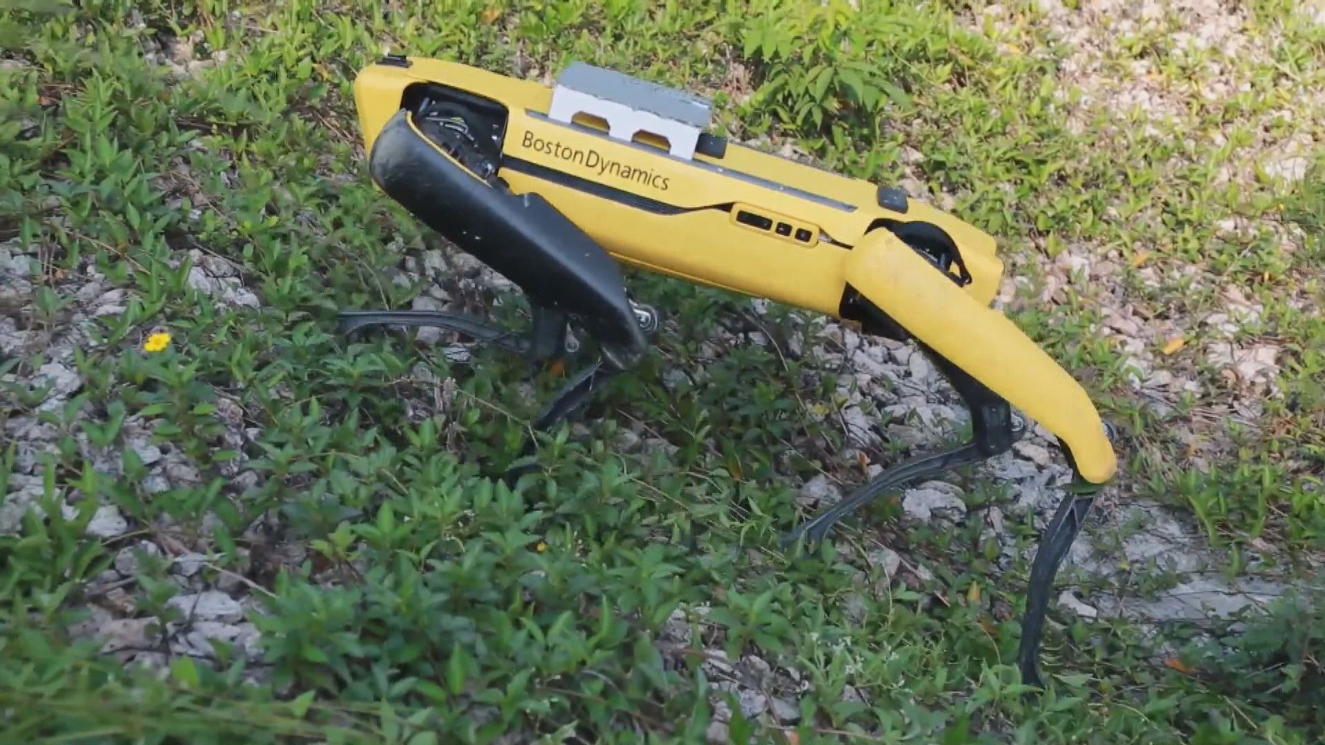 【好幫手】土力工程處引入機械狗應對山泥傾瀉風險