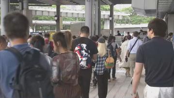 基孔肯雅熱｜本港衞生防護中心加強應對輸入風險措施