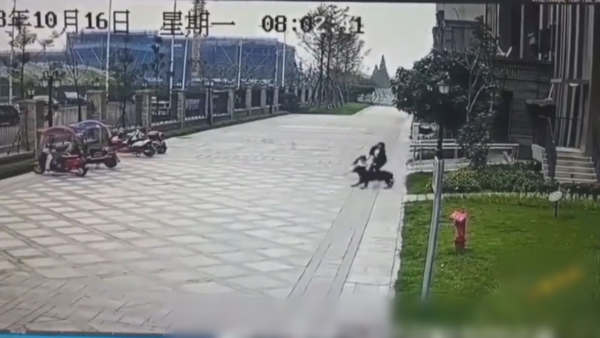 成都女童遭惡犬襲擊導致身體多處受傷