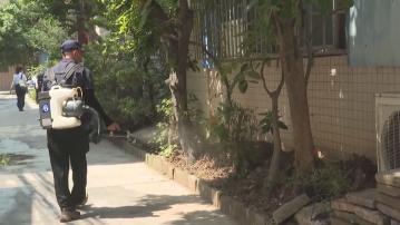 基孔肯雅熱｜佛山展開為期一周滅蚊重點攻堅行動
