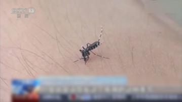 基孔肯雅熱｜廣東佛山累計病例突破3000宗