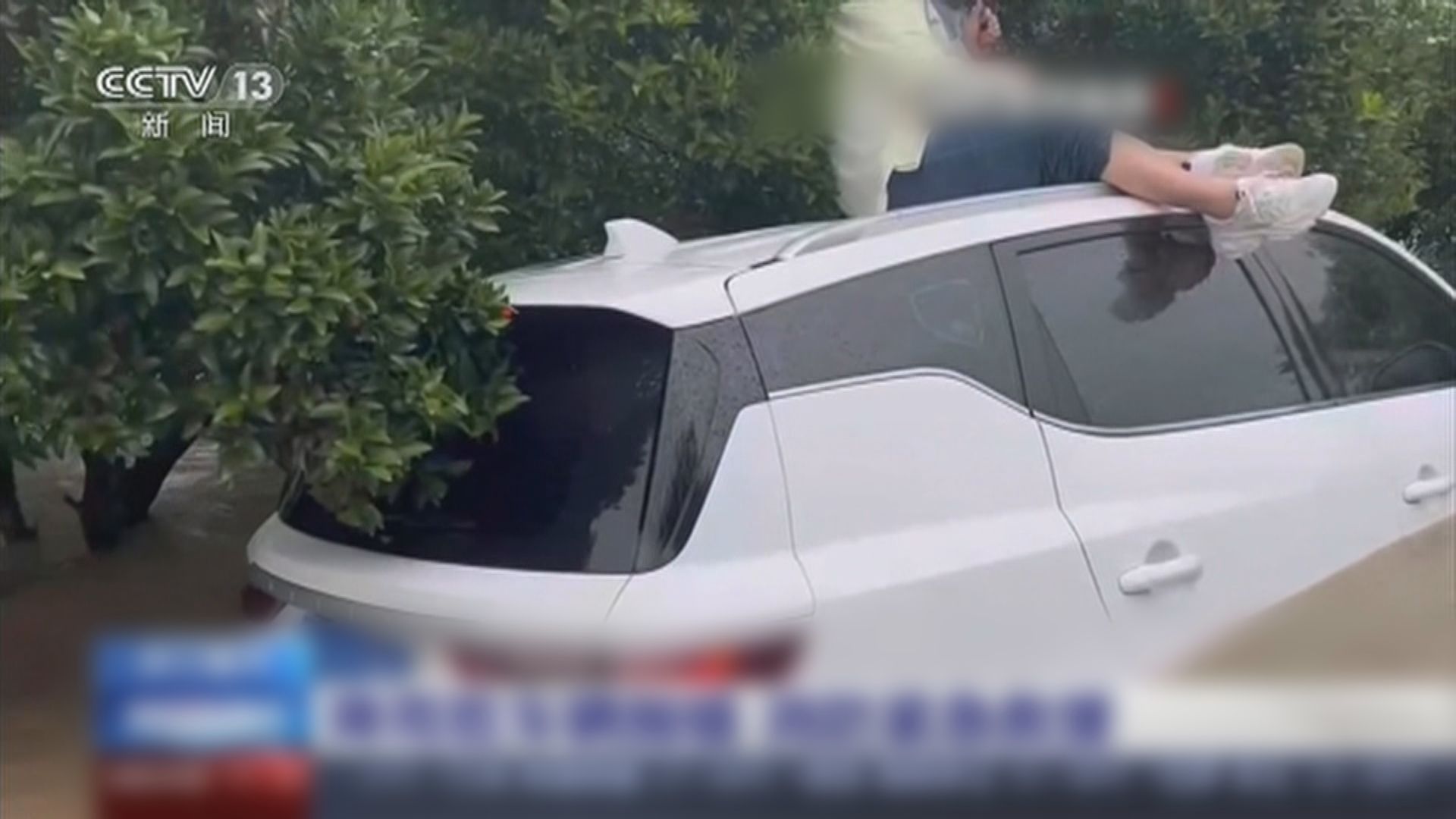 內地北高溫、南暴雨天氣格局持續