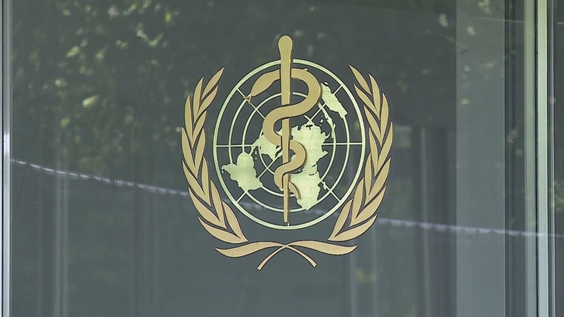 世衛專家周末訪華調查新型冠狀病毒源頭