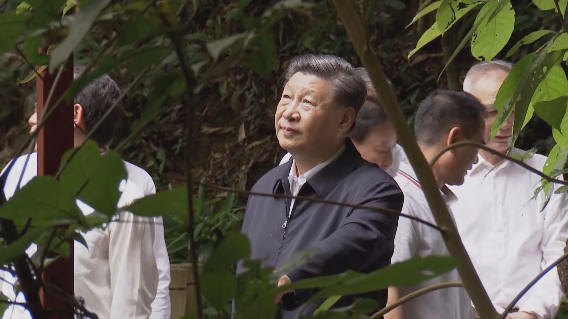 習近平：要確保海南自由貿易港如期順利封關運作