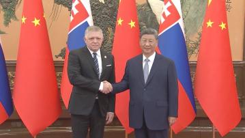 習近平與多名訪華國家領導人會面