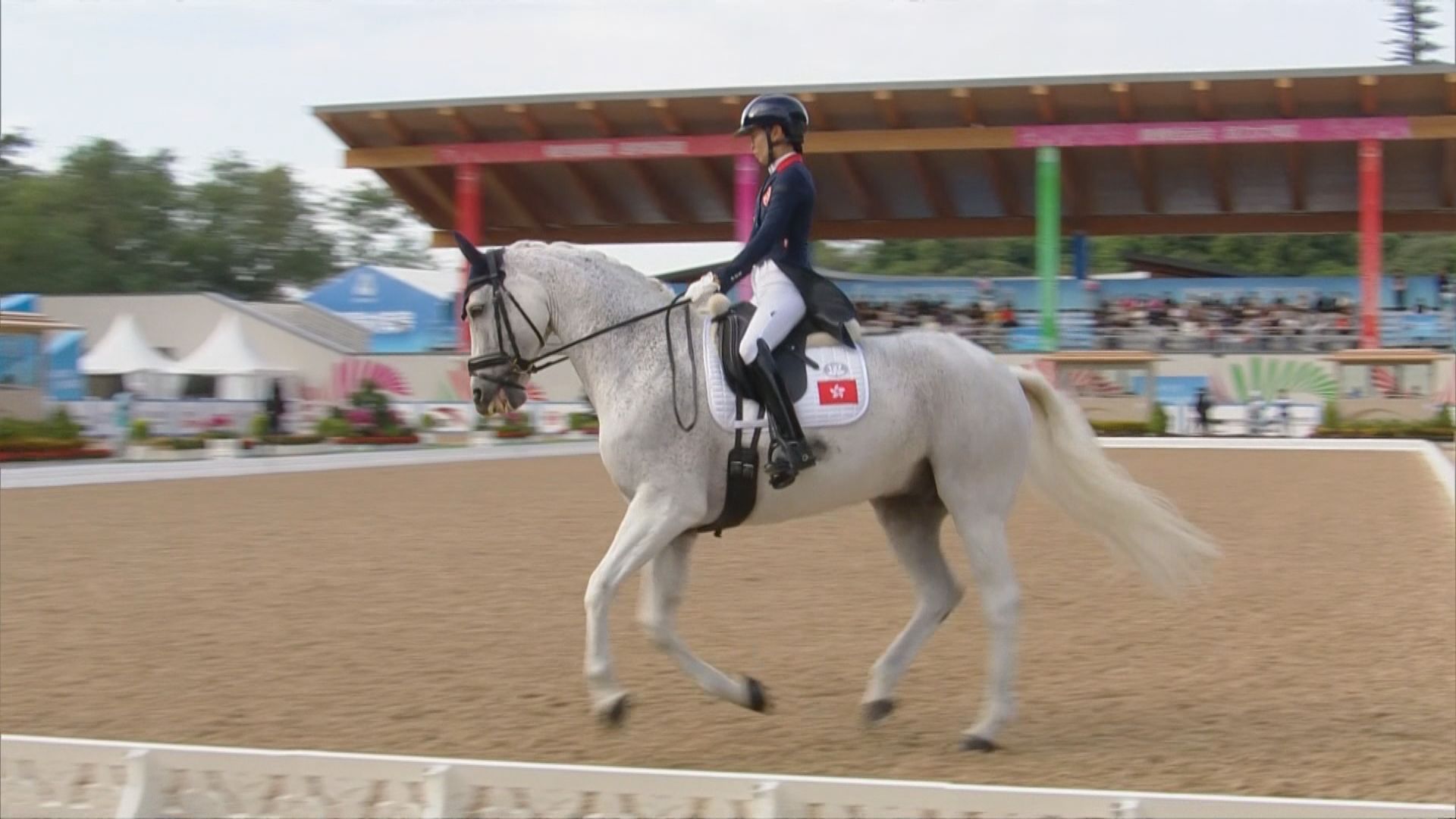 全運會馬術盛裝舞步個人賽決賽　港隊何苑欣排第7