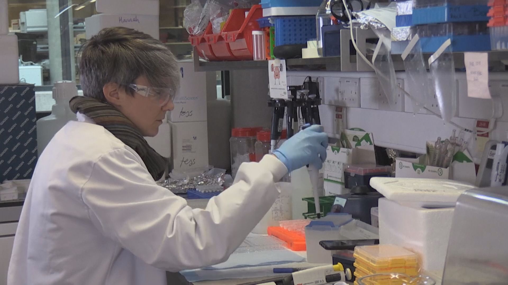 美參議員指中方阻研疫苗　外交部：疫苗研發非中美之爭