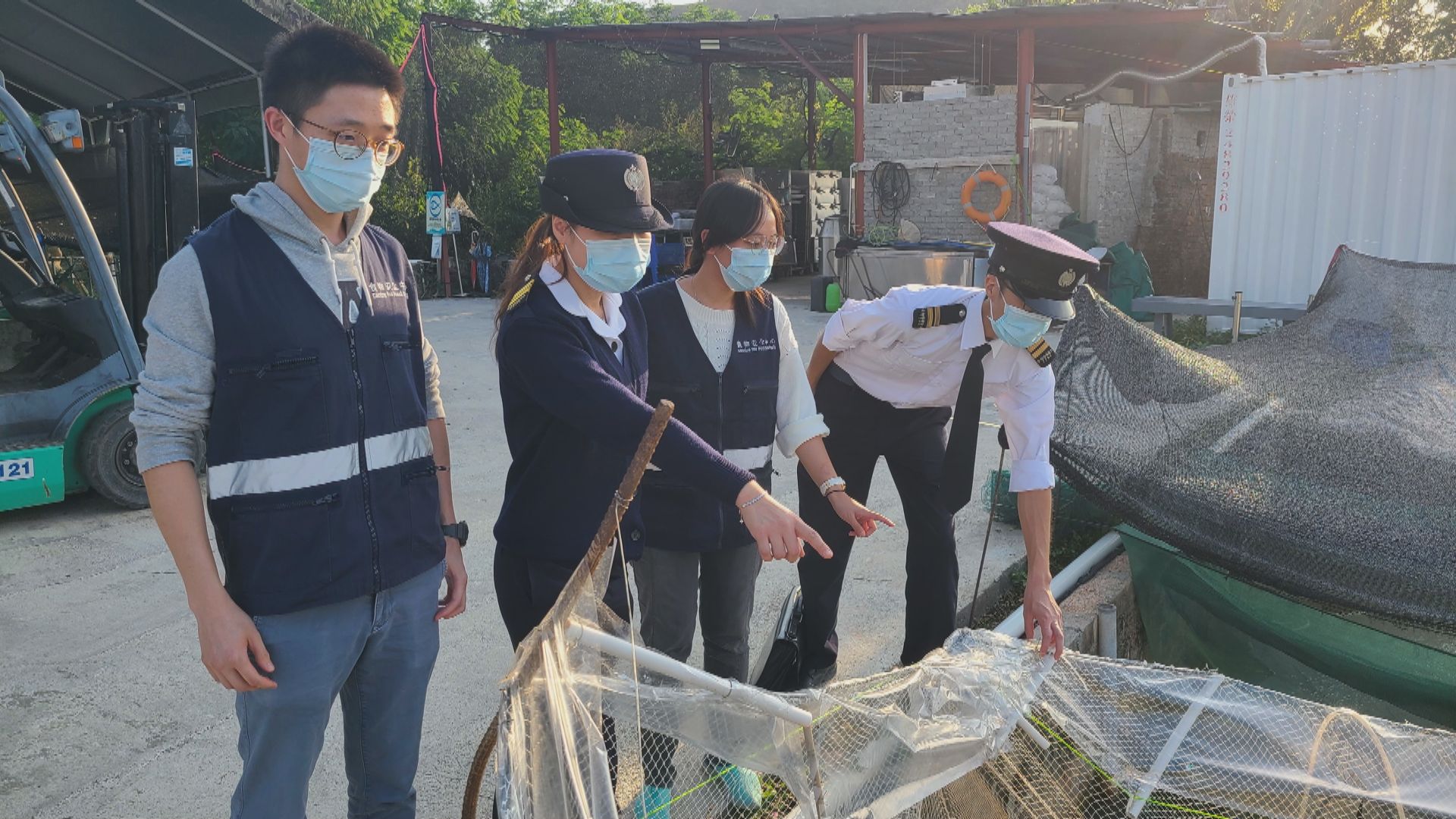 食環署及海關等封存1300隻來源可疑大閘蟹