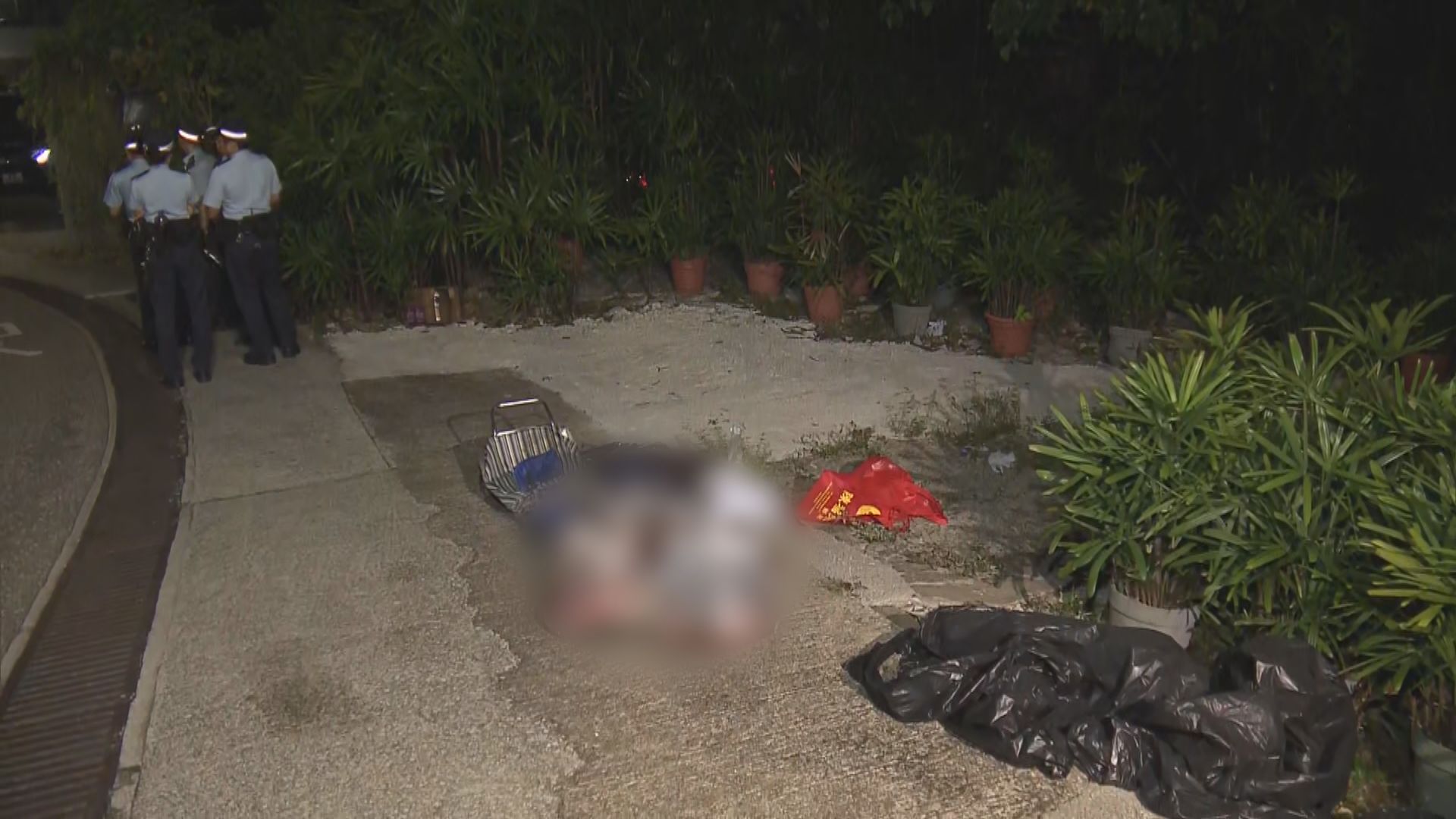 將軍澳路邊發現野豬屍體　警列虐待動物