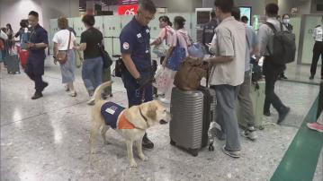海關指通關後走私食物案增 回復至疫前水平