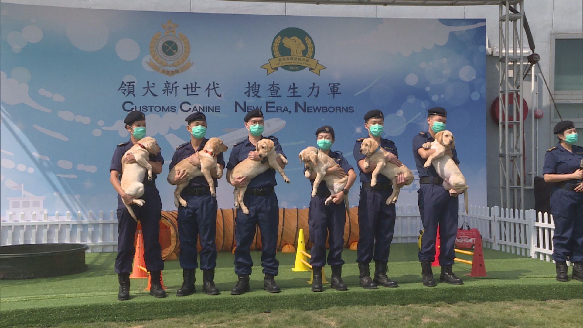 海關首次自行繁殖工作犬　最快明年引入槍械搜查犬