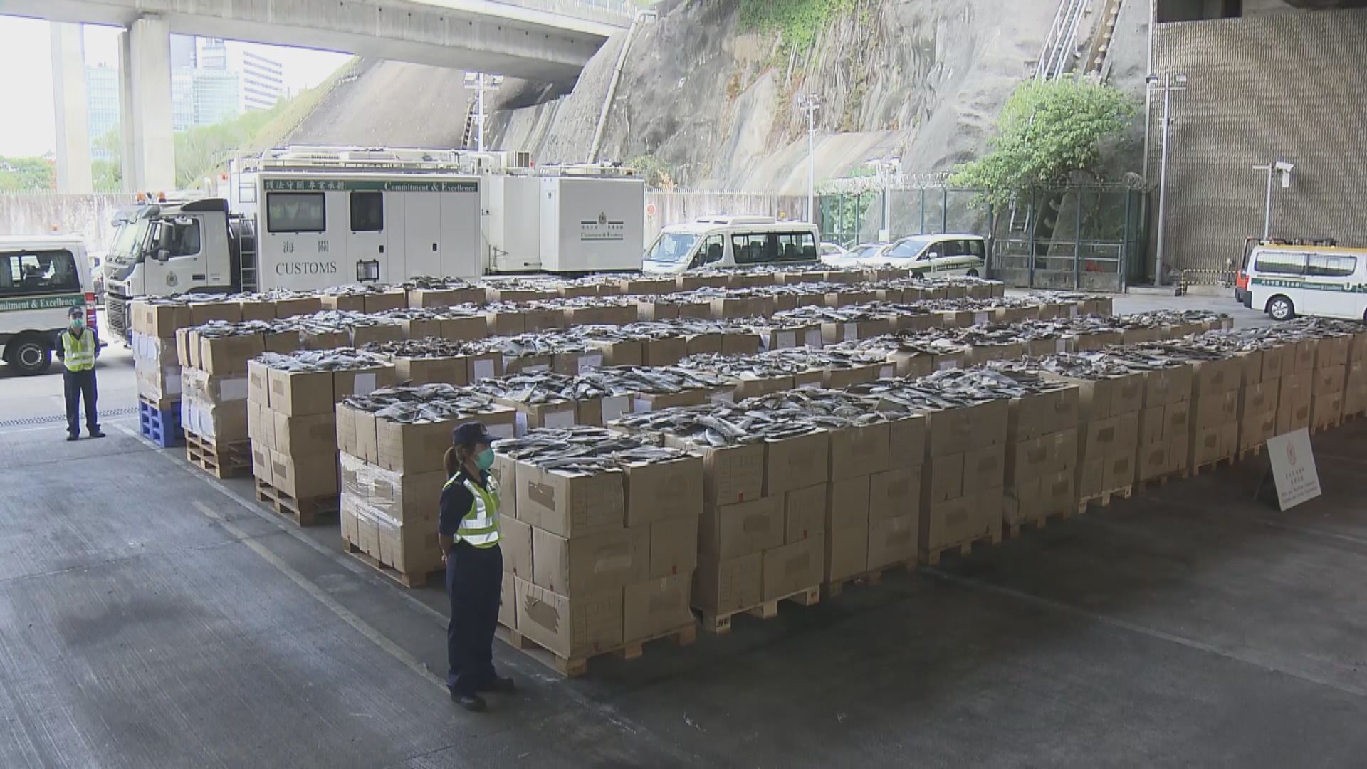 海關破獲歷來最大批走私受管制魚翅　拘一人