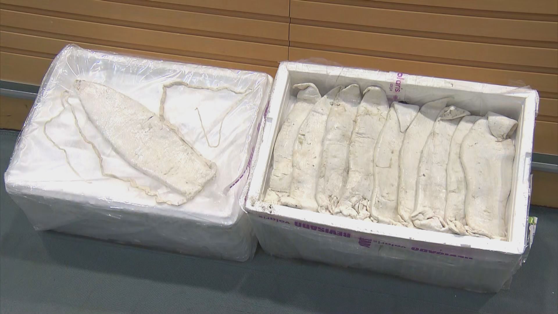 海關五個月內第二次檢獲石首魚魚肚　拘捕一名男子