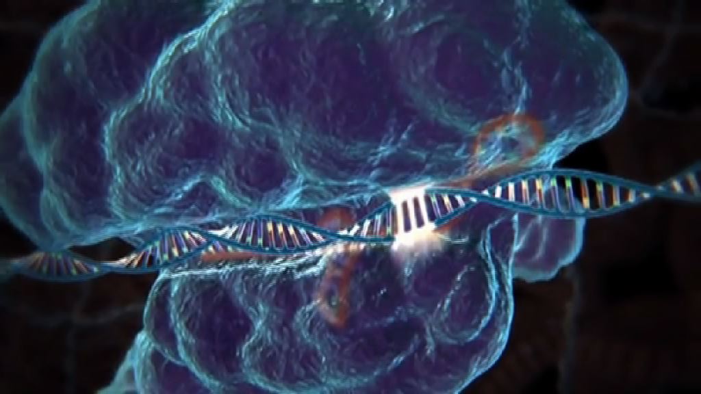 修復胚胎遺傳病基因引發道德爭議